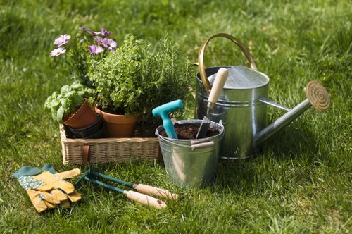 Local tree inspection for a courtyard or residential garden in Aldgate