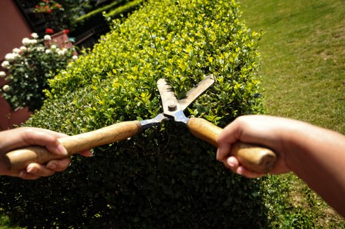 Emergency tree surgeons assessing storm-damaged trees in Aldgate