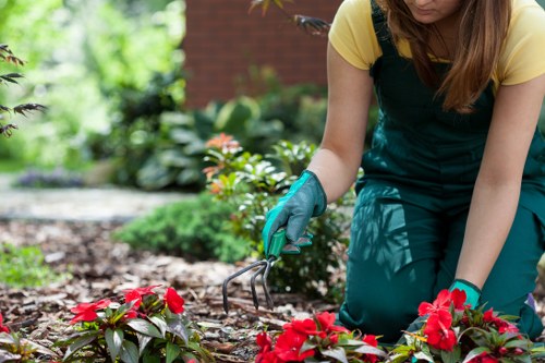 Careful hedge cutting for commercial premises in Aldgate