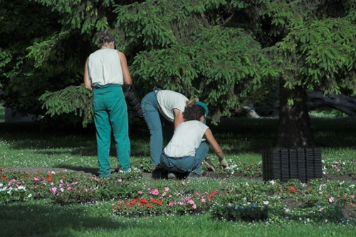 Professional arborist team handling complaint documentation