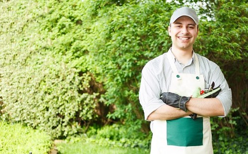 Local tree surgery and stump grinding service for Aldgate properties