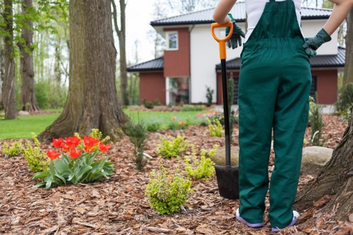 Protected online payment options for tree surgery invoices